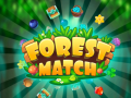 Játék Forest Match